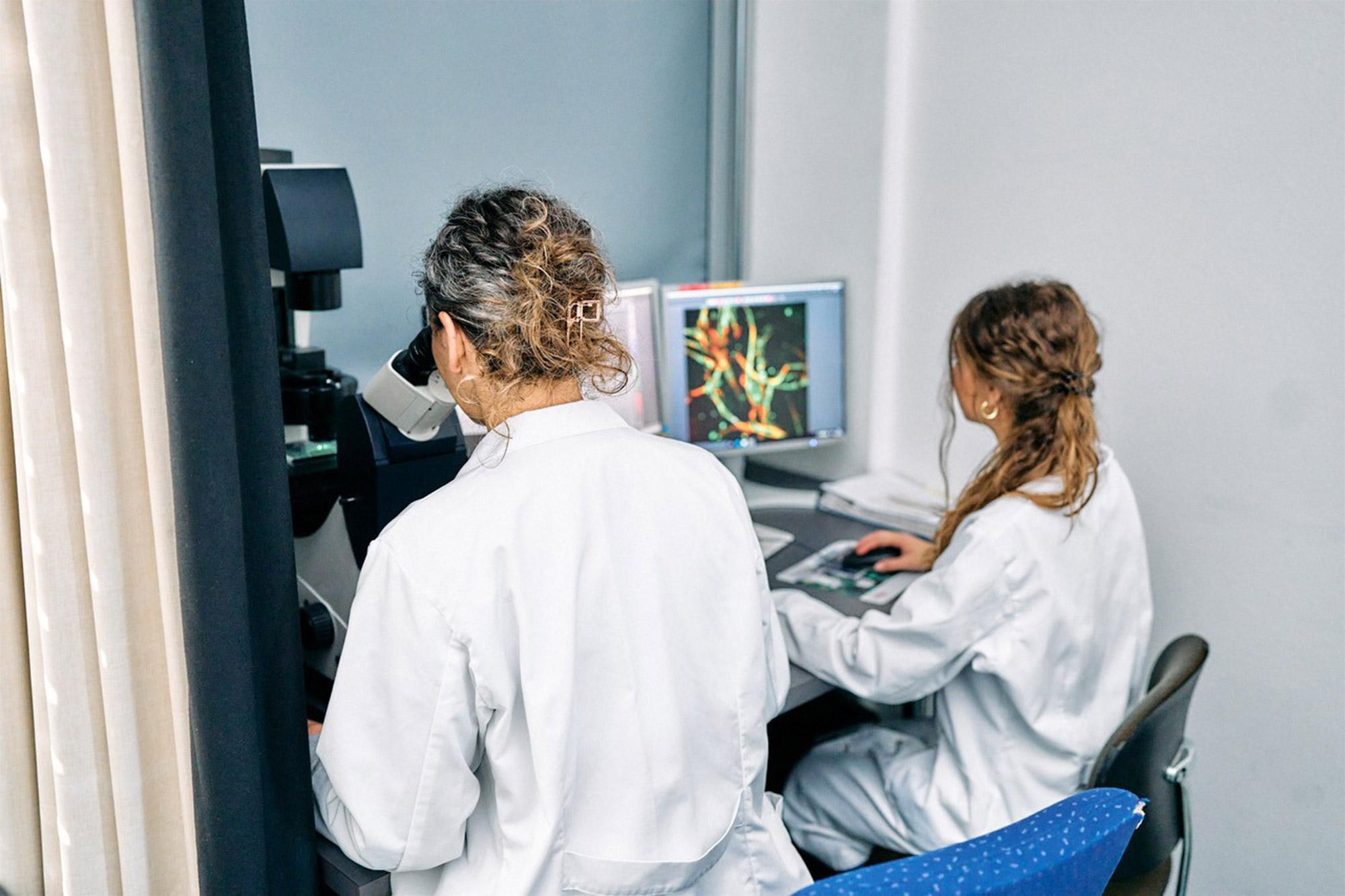 Impulse für die Zukunft der Forschung mit Tieren