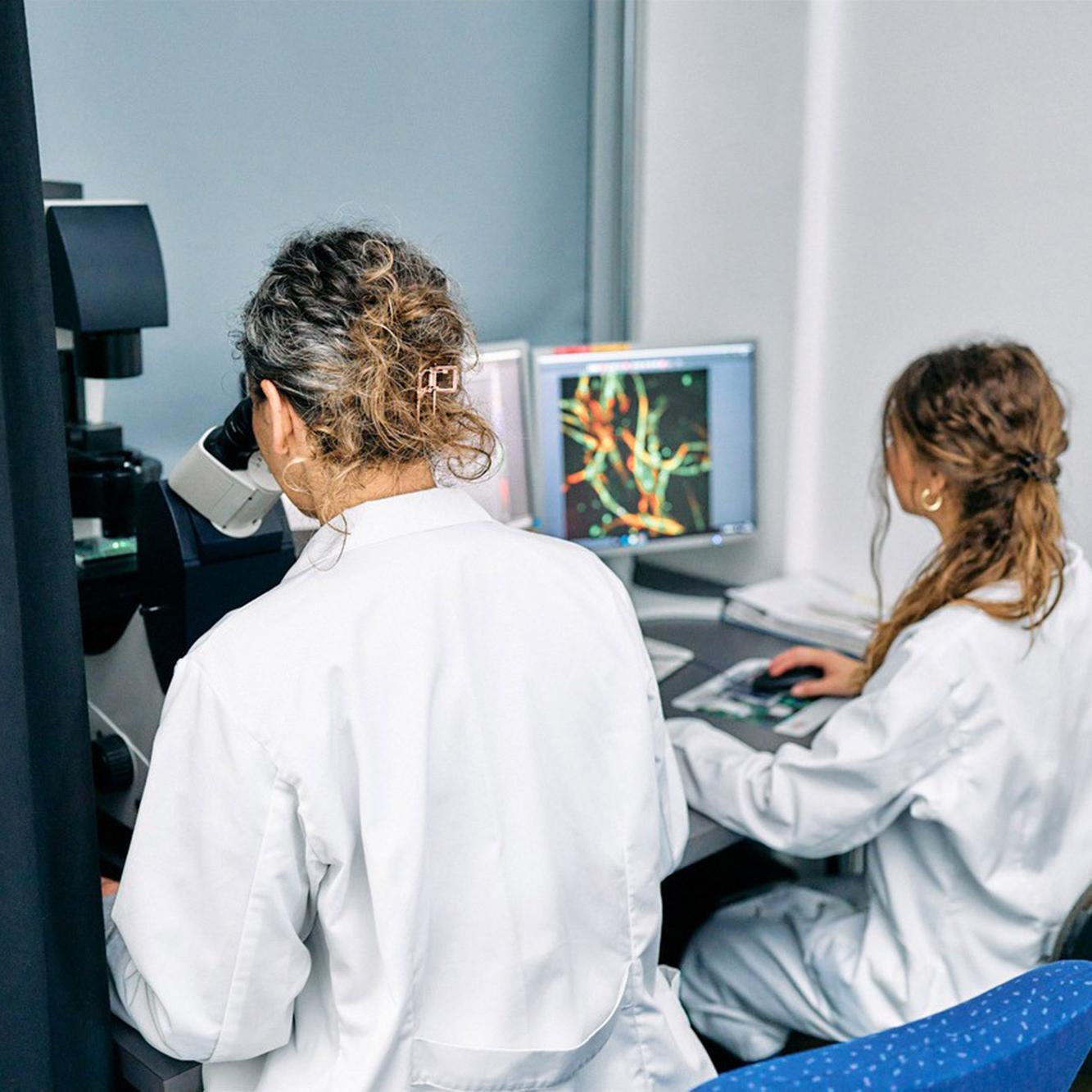 Impulse für die Zukunft der Forschung mit Tieren